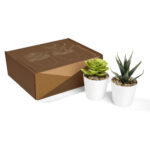 KTC 750 B - SET DE PLANTAS ALISO BLANCO (BLANCO - PLASTICO - CARTON)