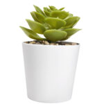 KTC 750 B - SET DE PLANTAS ALISO BLANCO (BLANCO - PLASTICO - CARTON) - Imagen 4