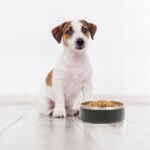 TAZÓN GEMINI BLANCO PT-001B ( PT-001 - PT001 -  ) - Imagen 5