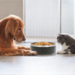 TAZÓN GEMINI BLANCO PT-001B ( PT-001 - PT001 -  ) - Imagen 4