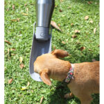 BOTELLA VLORE GRIS PT-006G ( PT-006 - PT006 -  ) - Imagen 4