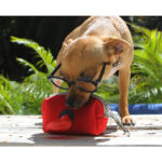 PORTA BOLSAS ROCHOR GRIS PT-008G ( PT-008 - PT008 -  ) - Imagen 3