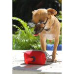 PORTA BOLSAS ROCHOR GRIS PT-008G ( PT-008 - PT008 -  ) - Imagen 2