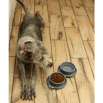 PLATO SCOGLITTI BLANCO PT-010B ( PT-010 - PT010 -  ) - Imagen 7