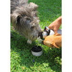 BOTELLA MALTA AZUL MARINO PT-011A ( PT-011 - PT011 -  ) - Imagen 5