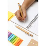 SET DE BOLÍGRAFOS PLASENCIA BEIGE ST-020BE ( ST-020 - ST020 - OFICINA ) - Imagen 5